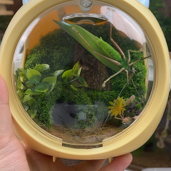 泡泡马特哈哈哈哈哈哈