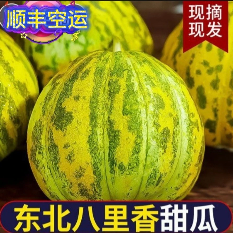 东北八里香 净重五斤【顺丰空运】新鲜采摘包邮