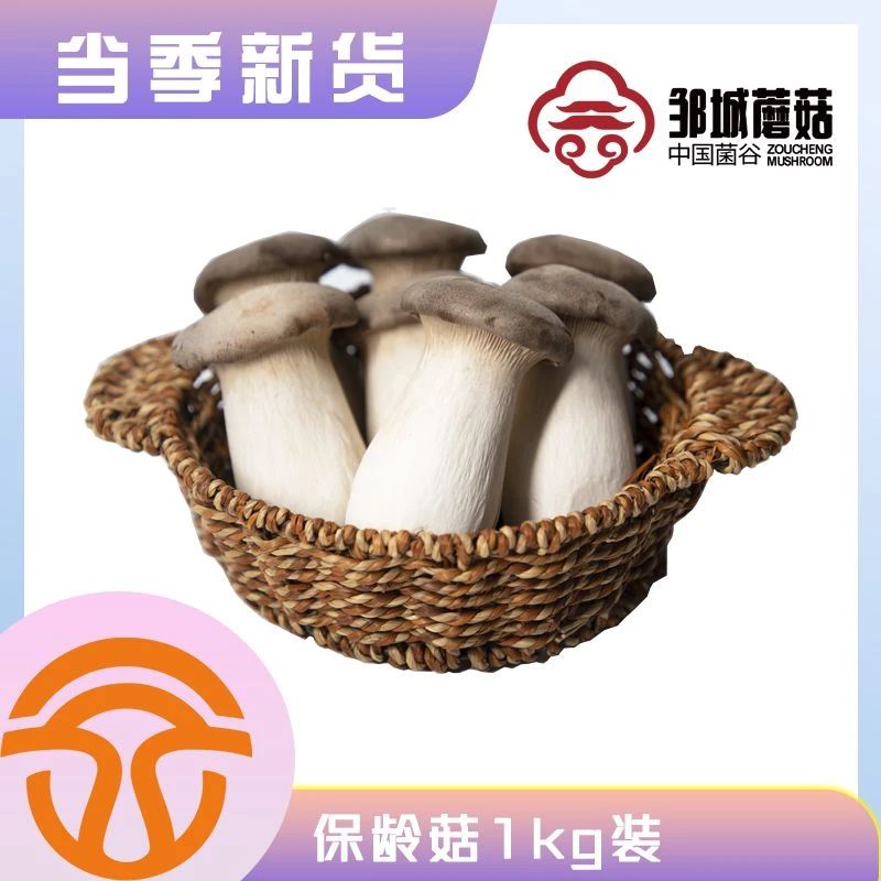 友和甄选保龄菇1KG装还原野生保龄菌
