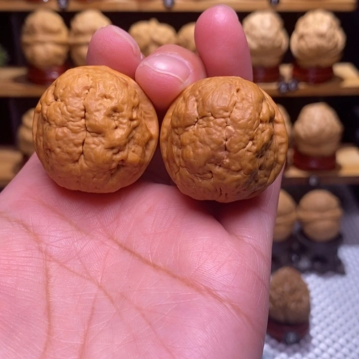 木质类云铁肌肉达摩41号