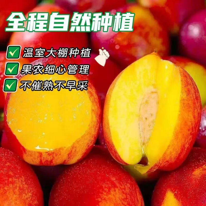 【脆甜新鲜】黄心油桃水果新鲜应季水果孕妇有桃子正宗小油桃