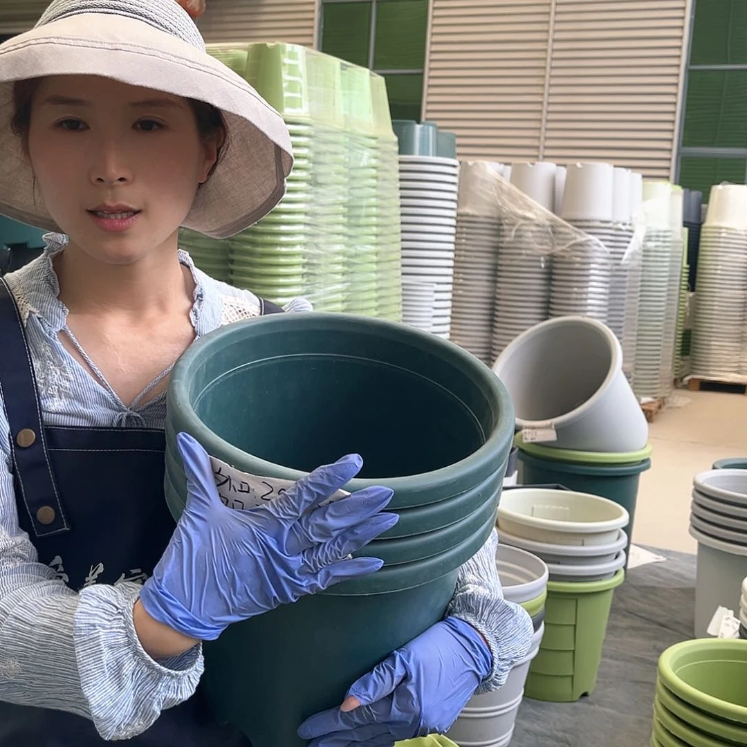 四季盆5#墨绿色6个无托