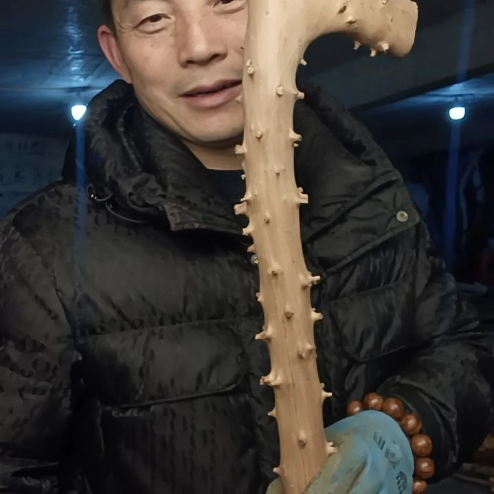 稳定木骑*贵州檬子木   铁马鞭   根艺  半成品
