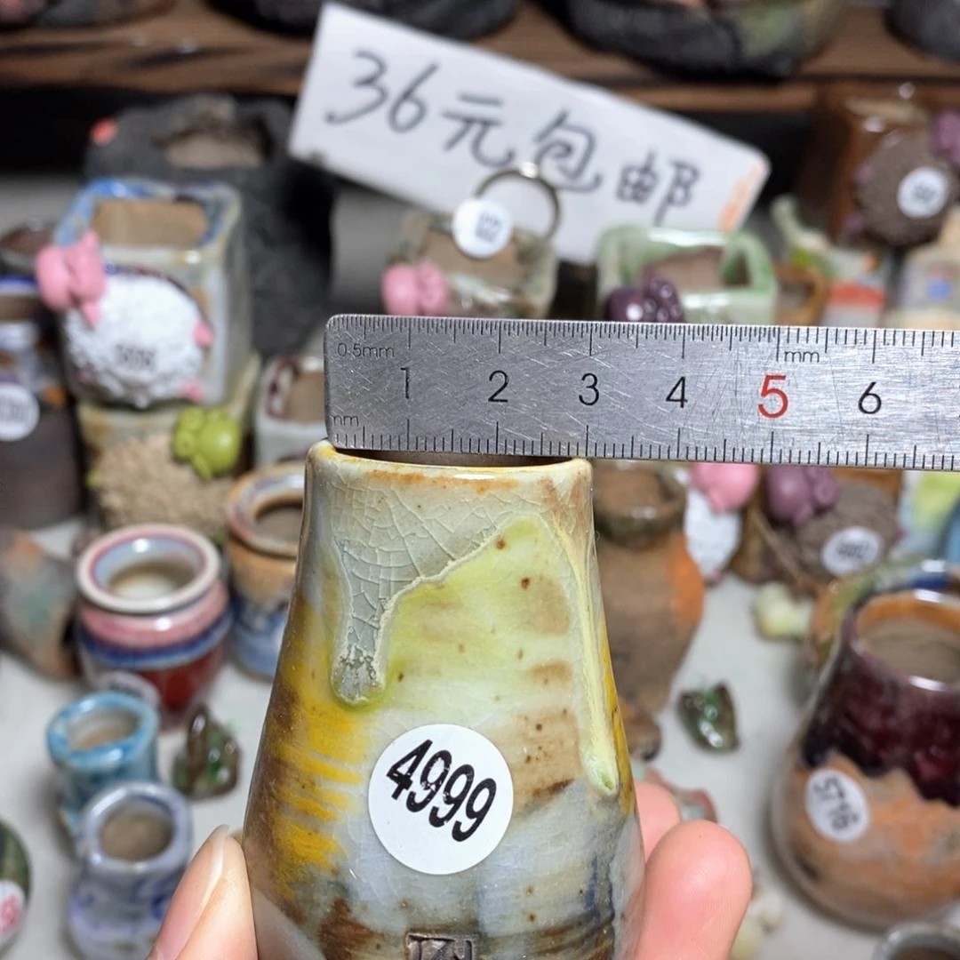 拍5送一个小礼物