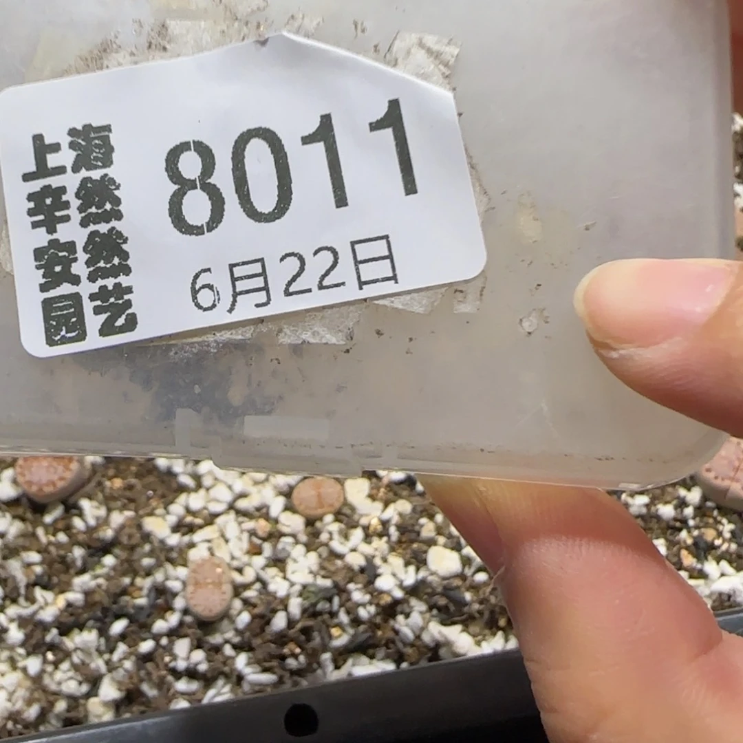 ᯅ***妮6.22。ken饼干。8011