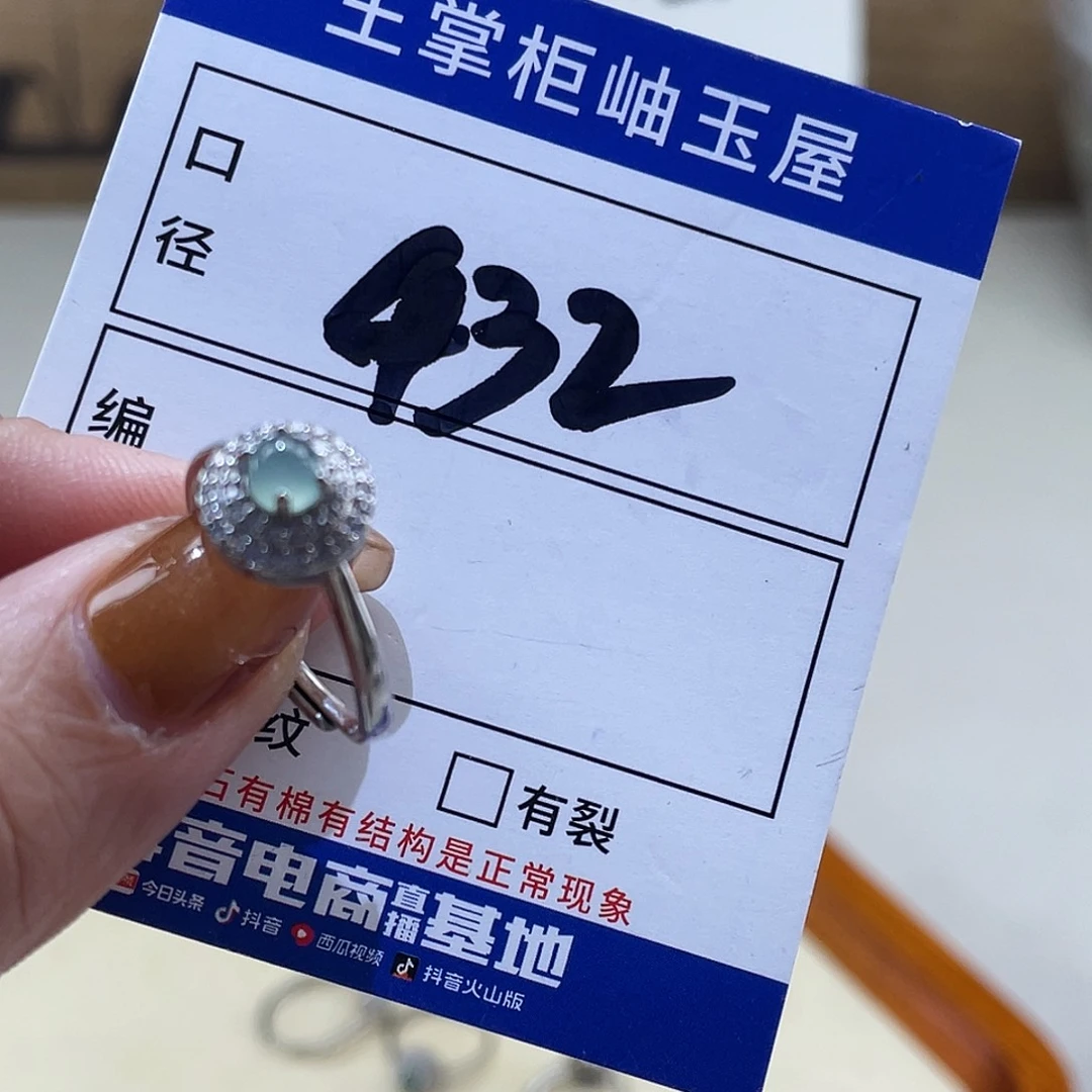 翡翠未镶嵌颈饰多样性，发一件