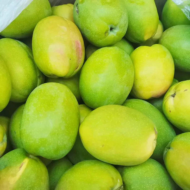 云南腾冲白花木瓜现摘现发送糊辣子