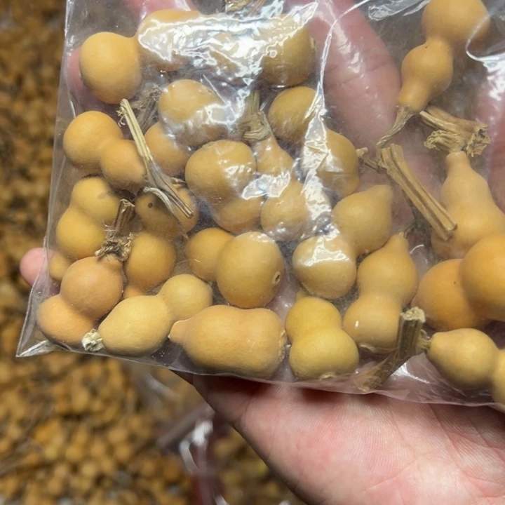 生打皮草里金30米