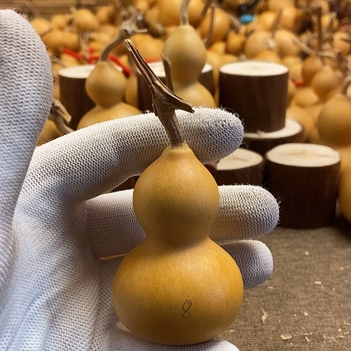 文玩葫芦 完美主义者 慎拍8