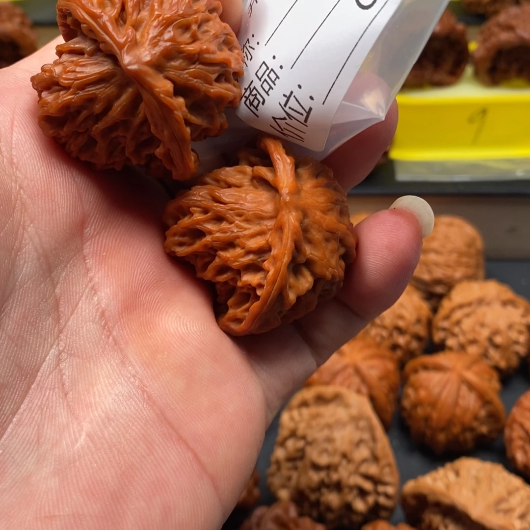 马***宝大叶紫檀（黑酸枝木类）蛇王