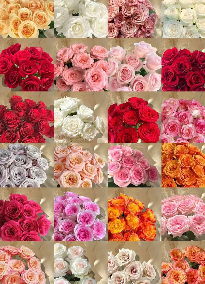 玫瑰鲜花组合款高级批发