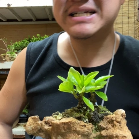 红陶靈****㸃一物一拍所见即所得103