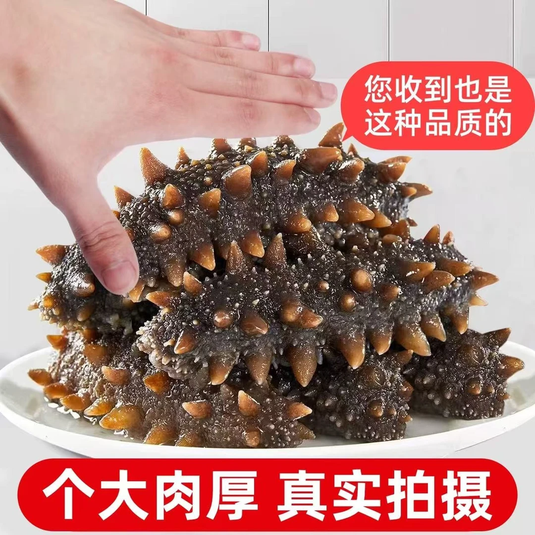 【11超值购】正宗大连海参送礼即食海参新鲜辽参独立包装开袋即食
