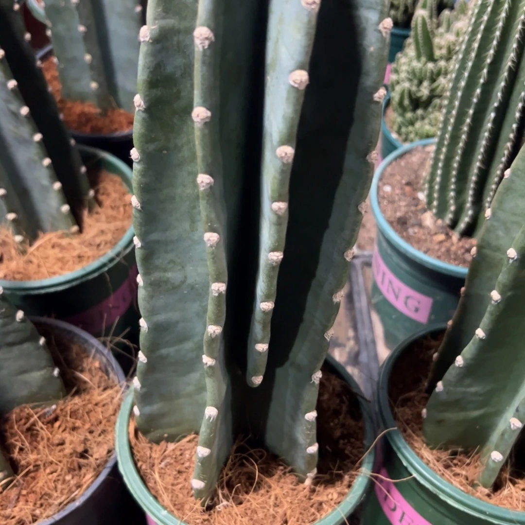 过****哈哈哈哈哈哈哈哈