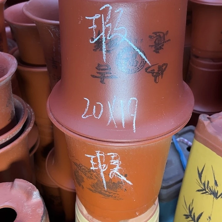 重症收治说着说着说