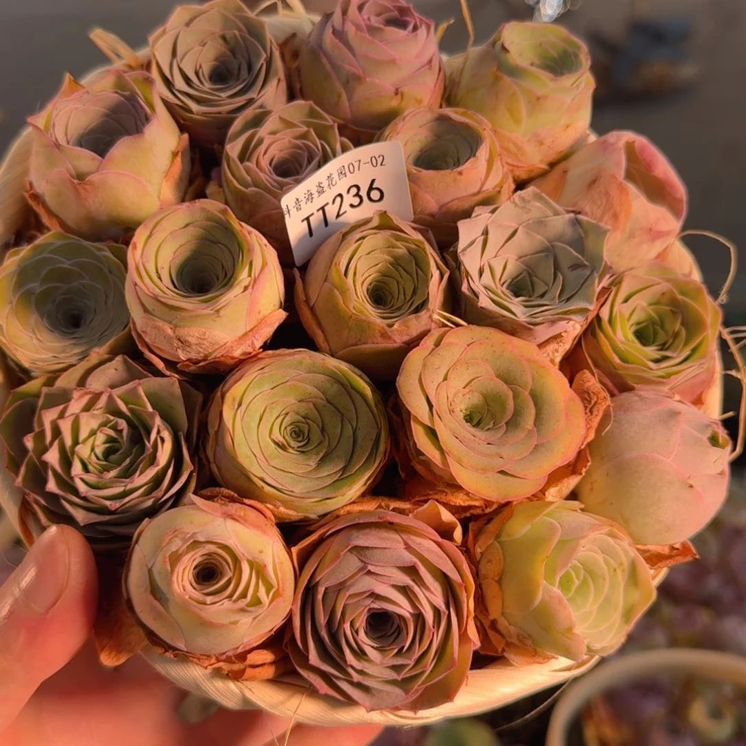 TT236 竹编圆篮玫瑰组合