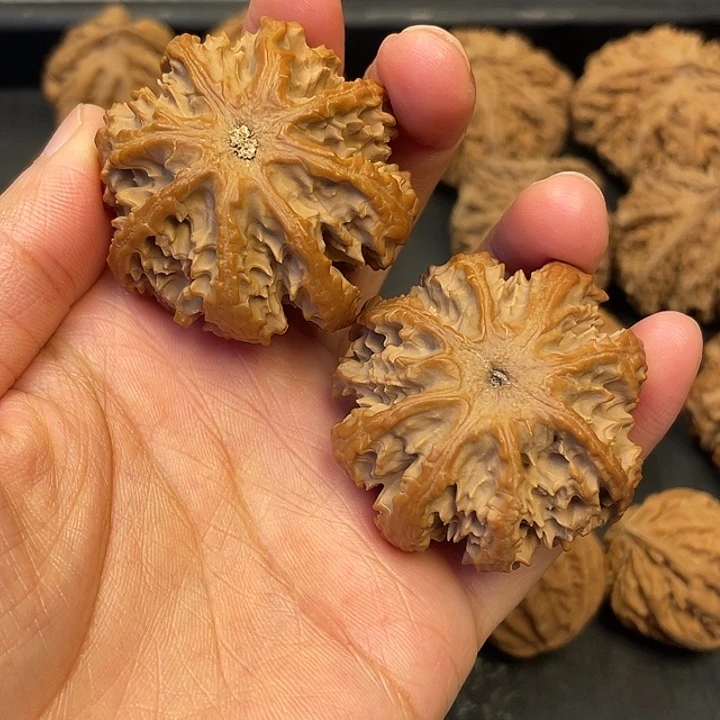 习***好吊坠文玩核桃突突突突突突突突突突