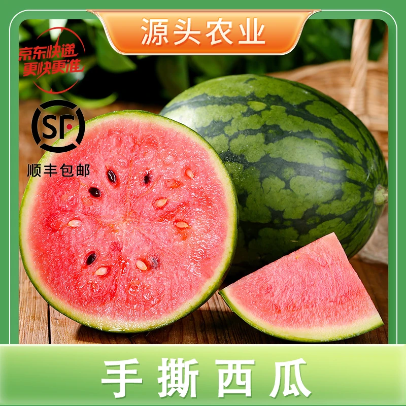 【手撕西瓜】山东薄皮2k小西瓜新鲜清甜1-2个装 顺丰/京东 S