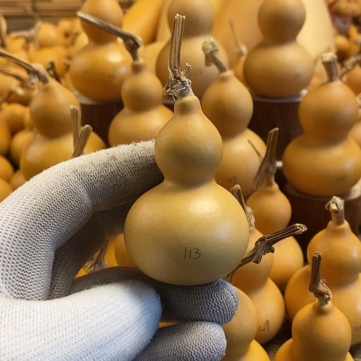 文玩葫芦 完美主义者 慎拍113