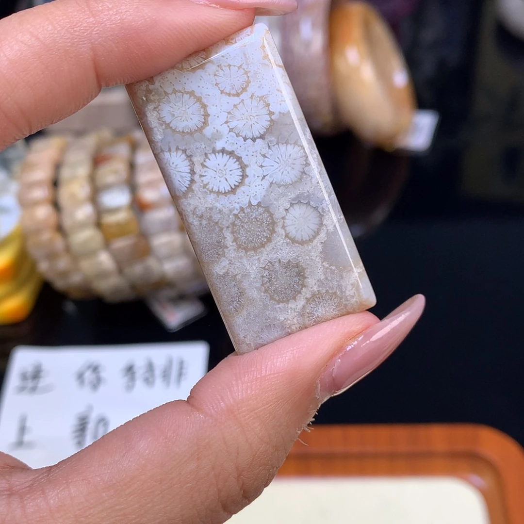 【闪购商品】颈饰未镶嵌硅化珊瑚（珊瑚玉）无*