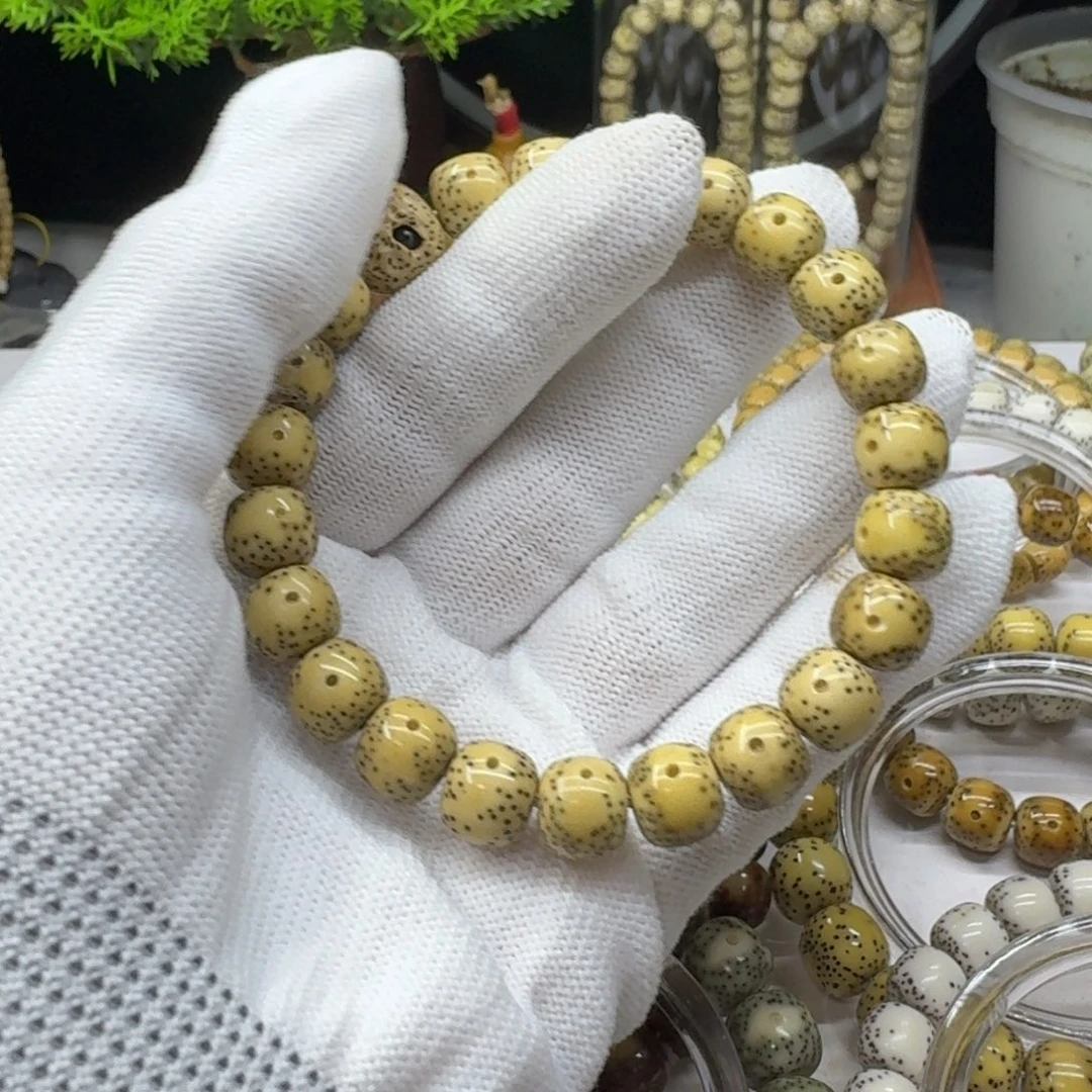星月菩提手串食**也10/9原生态