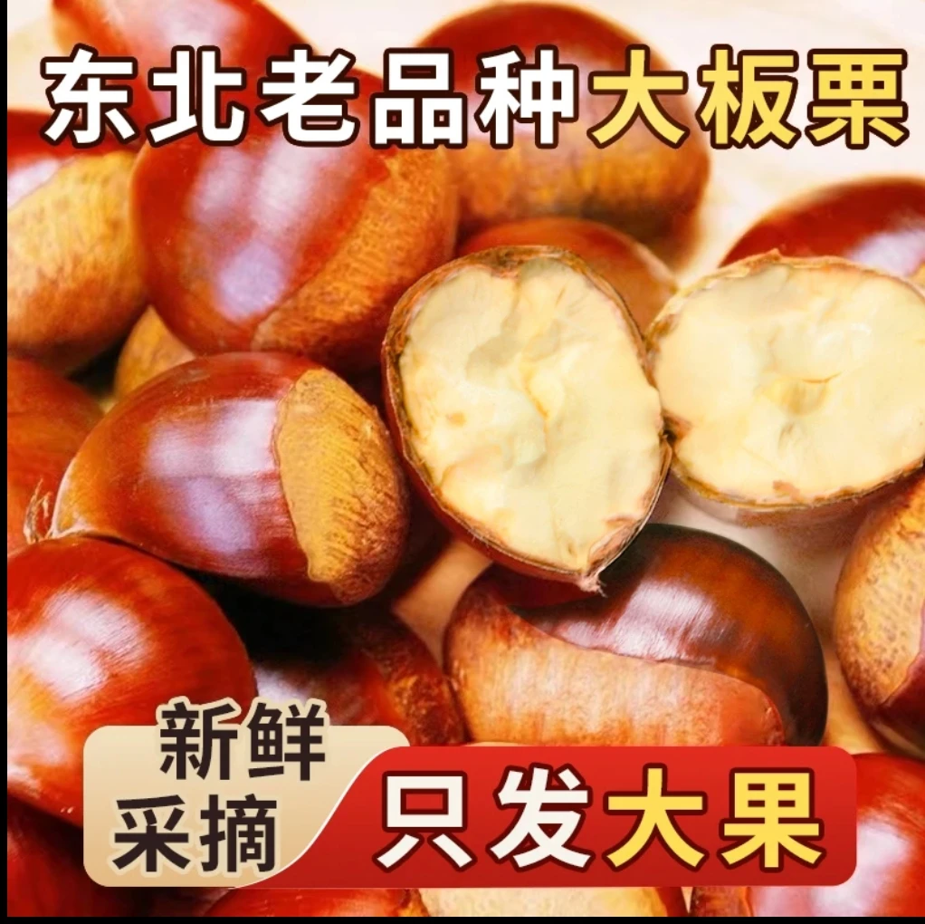 【买四斤送一斤】到手五斤  东北大板栗  香甜可口