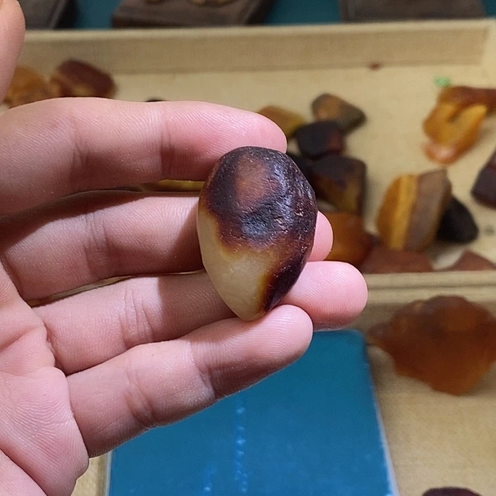 琥珀未镶嵌裸石蜜蜡