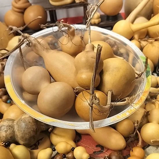光***直播间专供链接葫芦链接