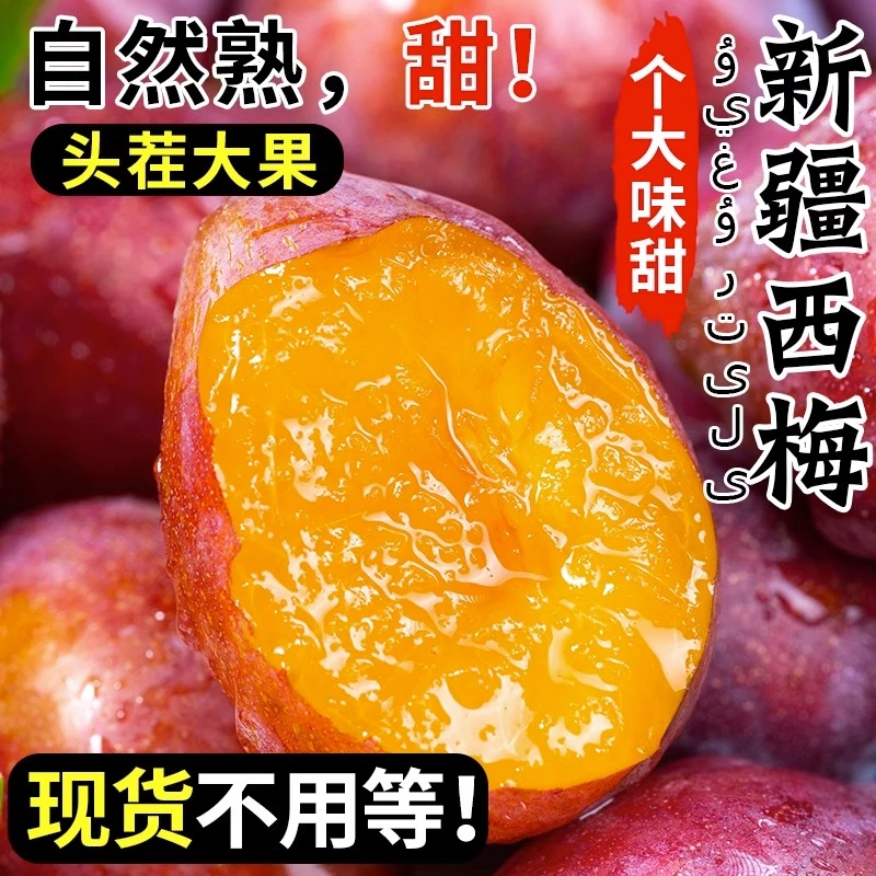正宗新疆法兰西小西梅新鲜采摘自然熟甜蜜爆汁3斤皮包肉厚