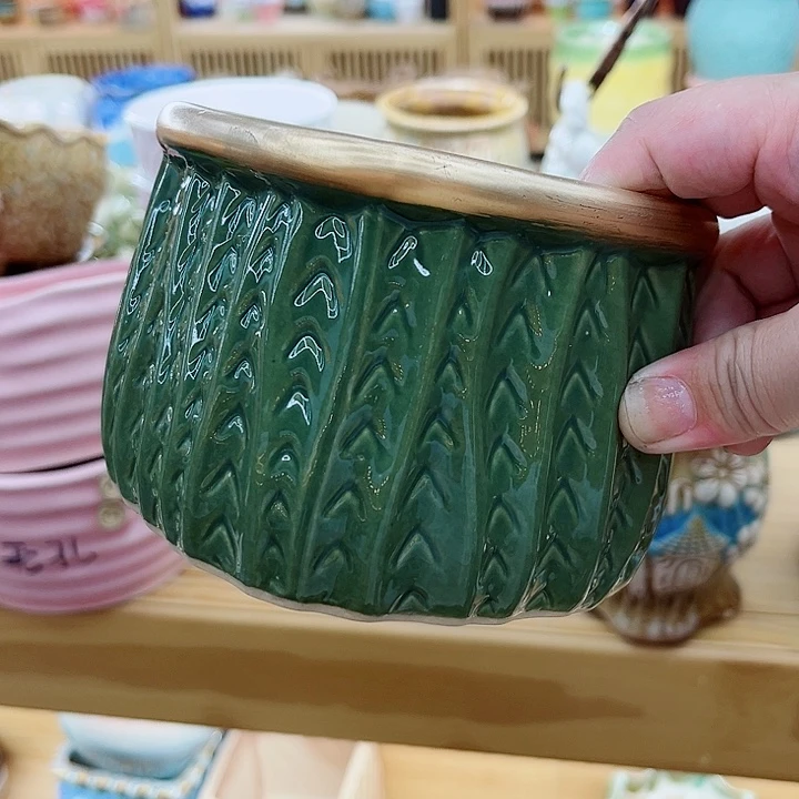 多肉植物陶瓷花盆