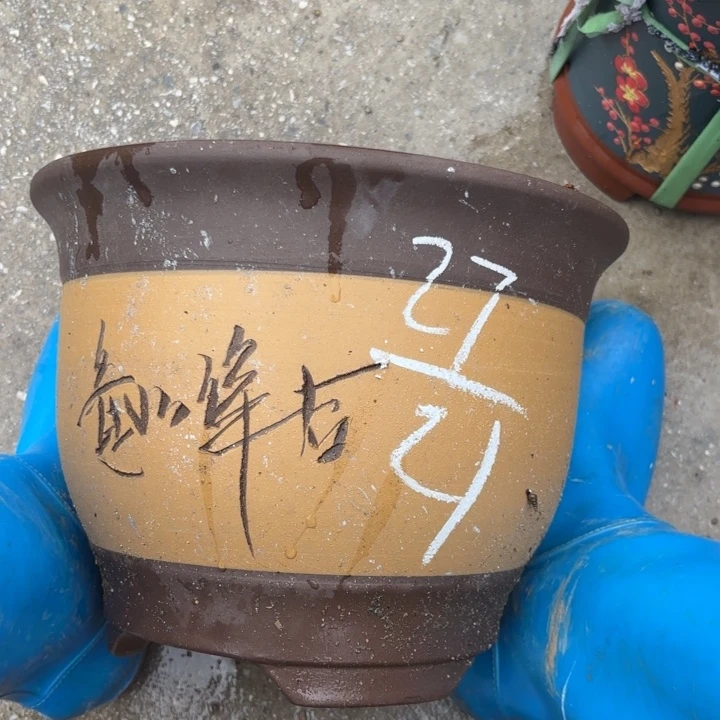 紫砂花盆紫砂的花