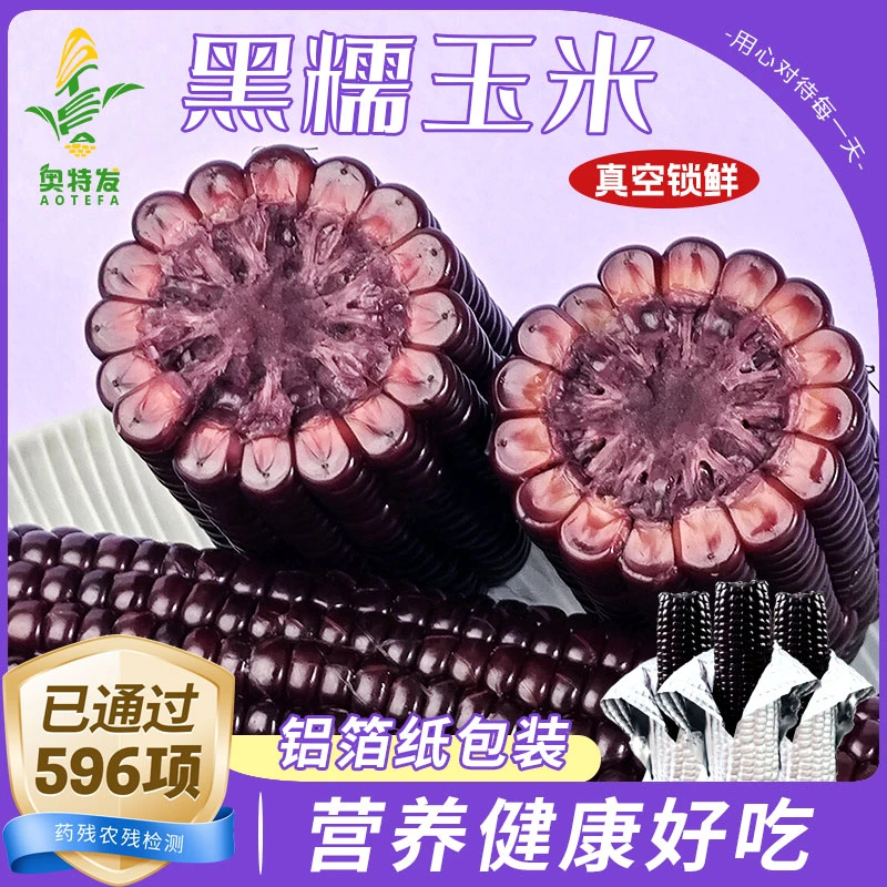 24年新玉米整箱东北黑糯玉米棒鲜甜糯黑玉米批发真空头茬甜糯玉米