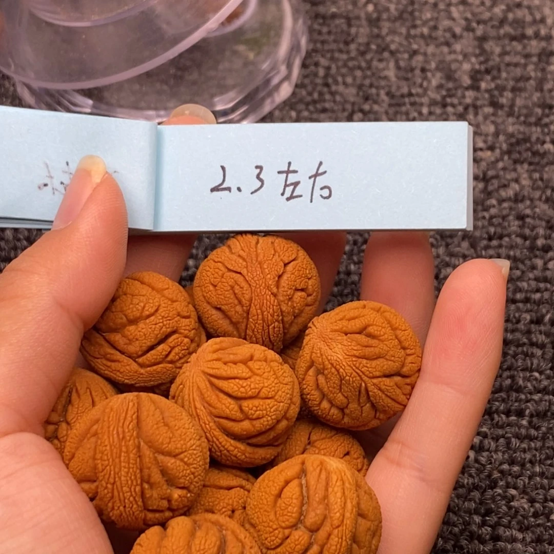 秦岭山脉龙纹桃核单圈13k