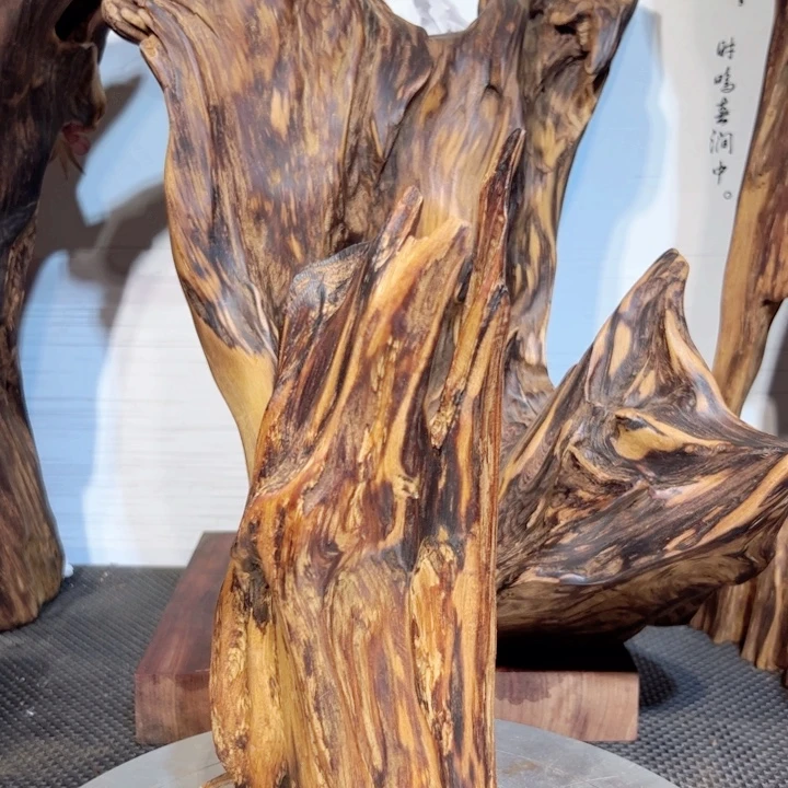 宝***1木直播间一物一拍