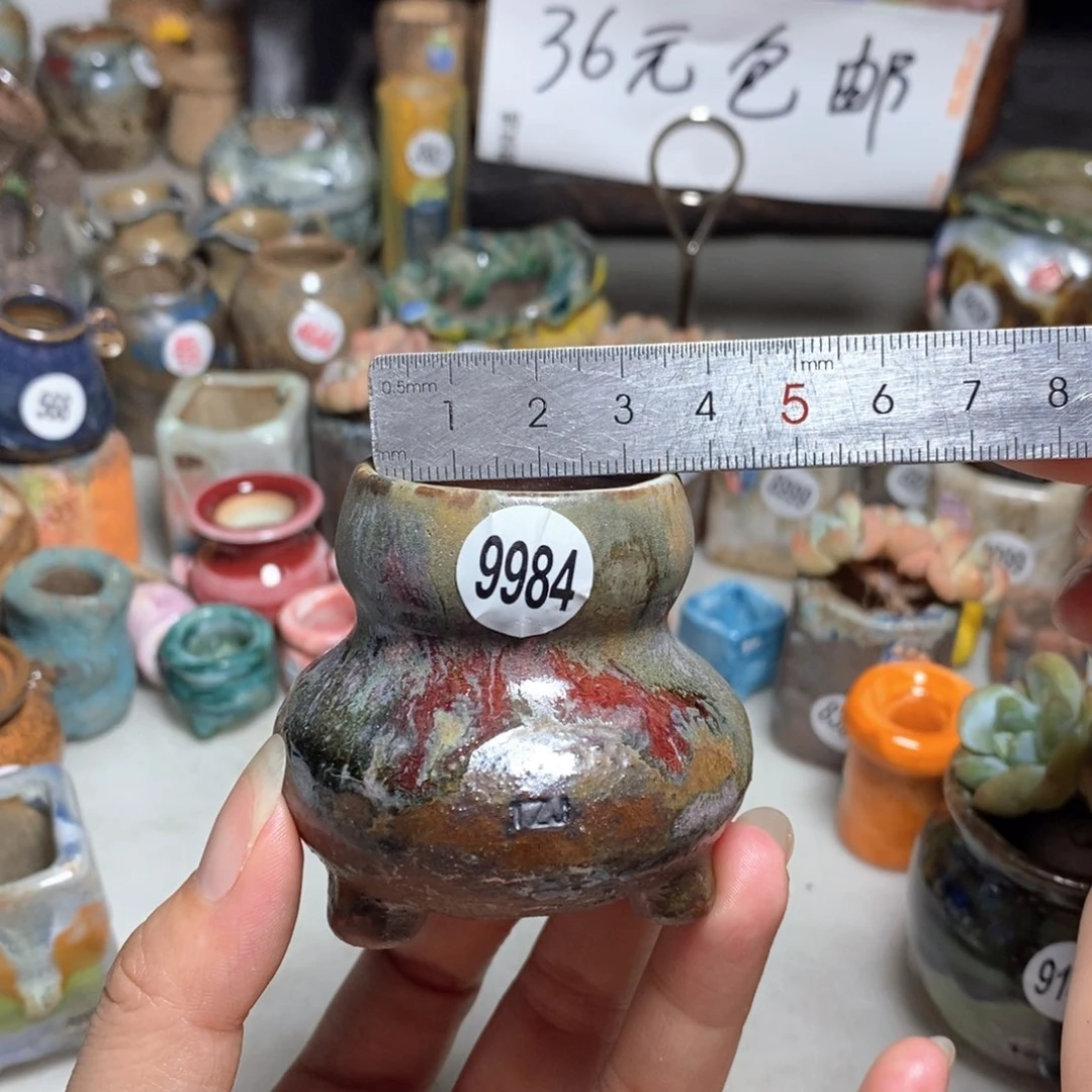 拍5送一个小礼物