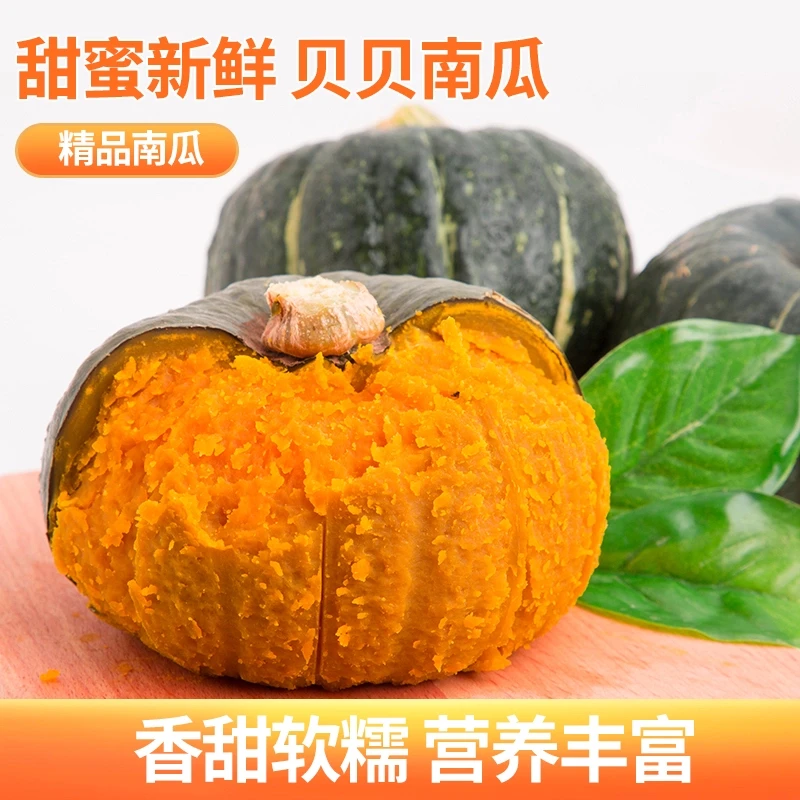 山东贝贝南瓜粉糯贝贝香甜4.5斤粉糯板栗口感【SX】宝宝小南瓜