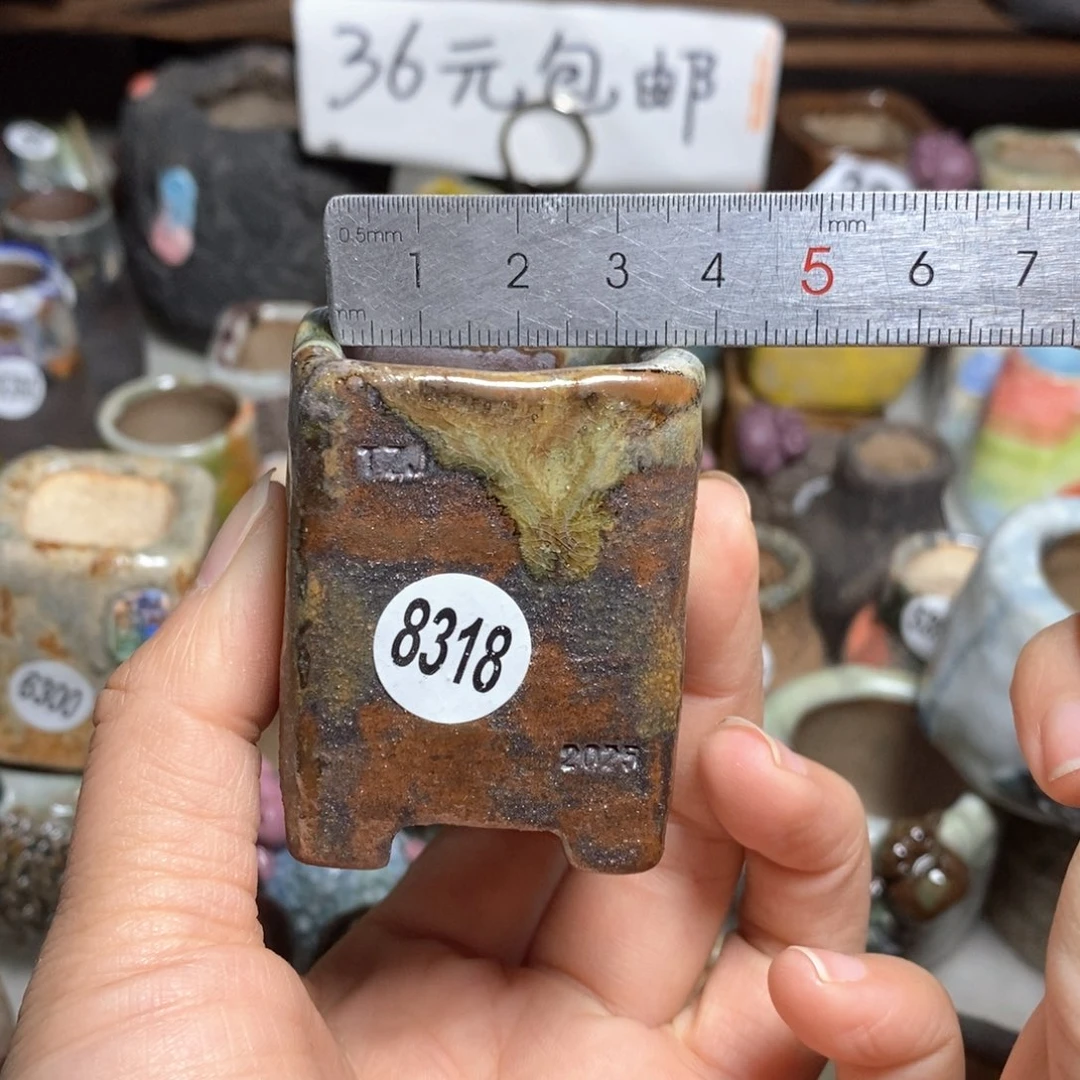 陌*拍3送一个小礼物