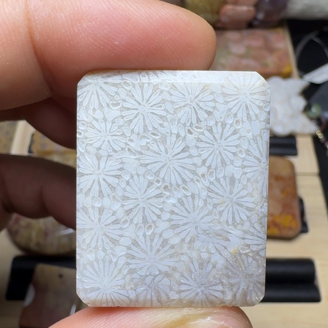 未镶嵌纯天然色有机玉石保真色硅化玉