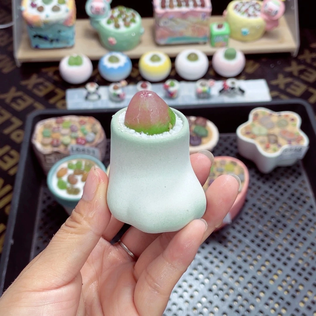 w6455 带盆土发货一物一拍