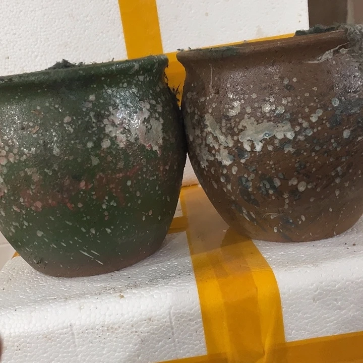 红陶正品两个17/17