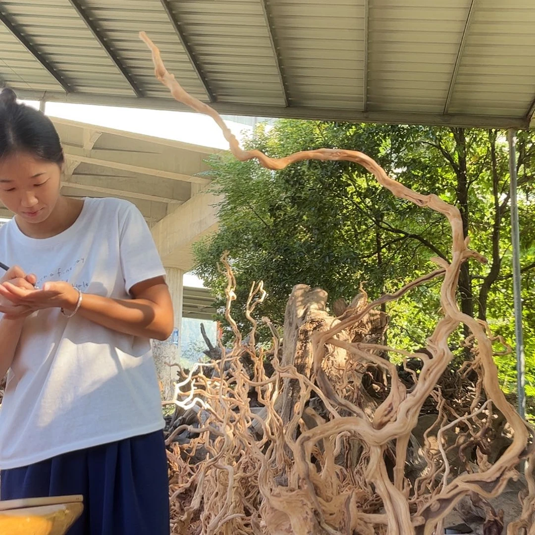 河***松香榧木我们的生活方式