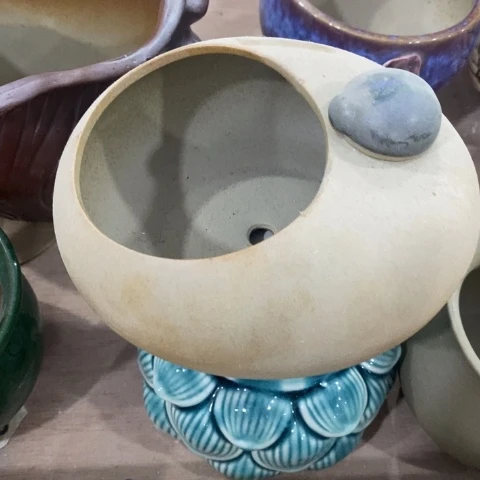 袜形甲壳虫3131331313