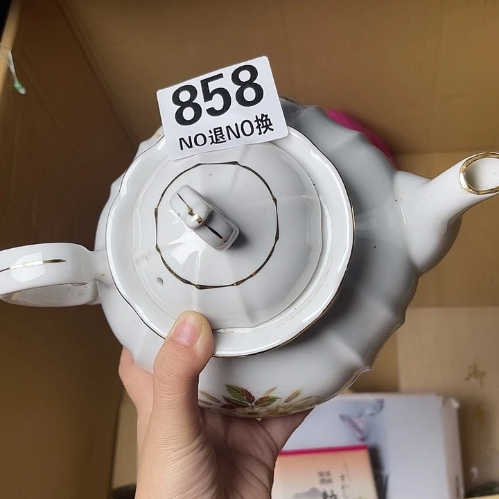 猫***鹰马上就要开始啦1111