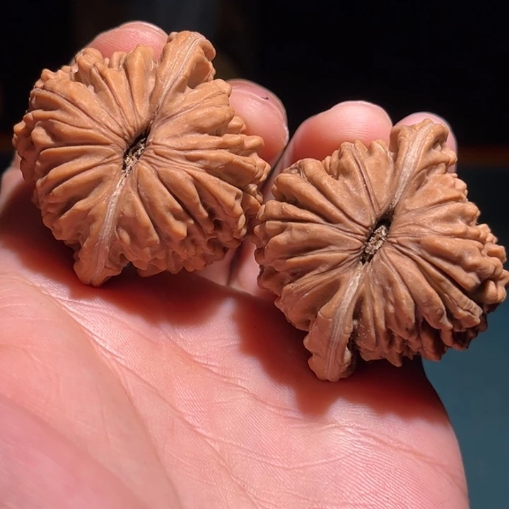 文玩核桃把件稚****Z41➕楼子毕业对