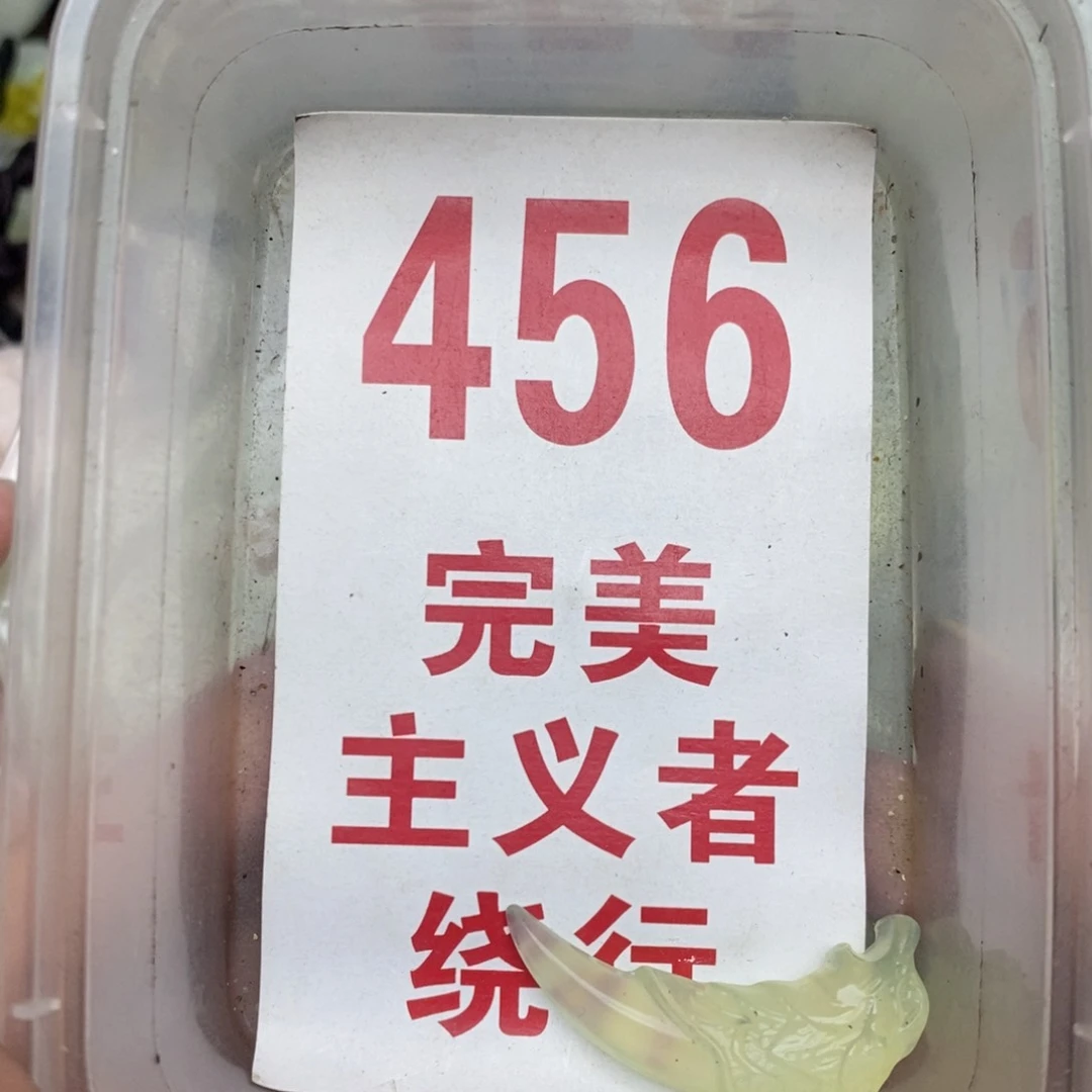 透闪石-蛇纹石玉未镶嵌挂坠