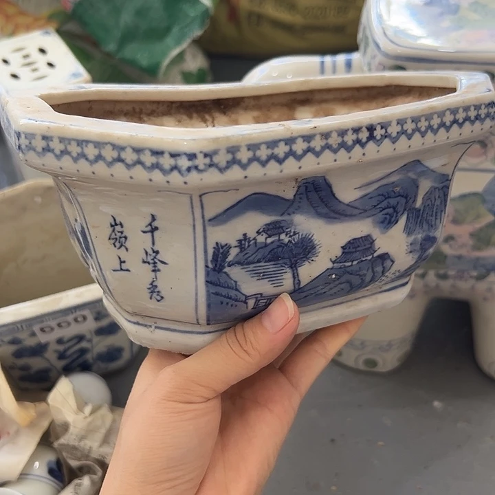 花盆0088000000800080