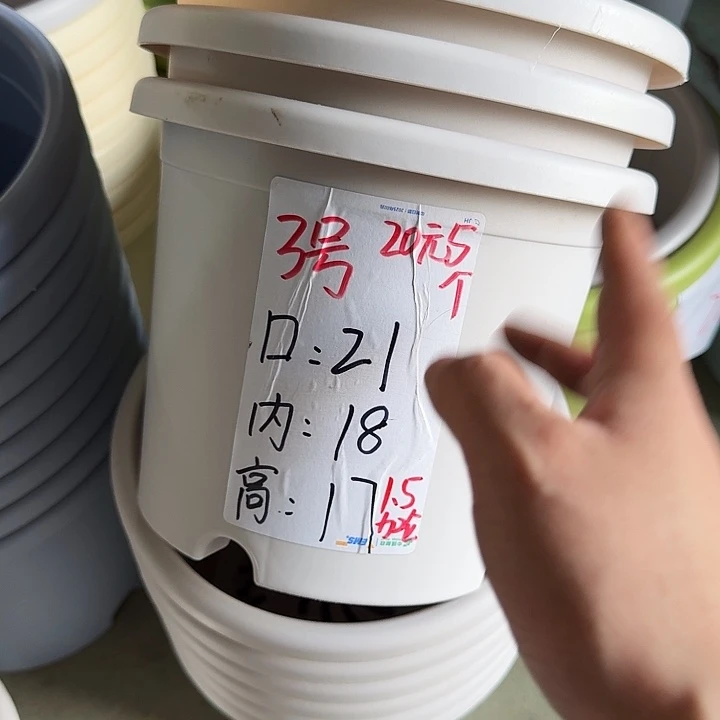 微瑕3#灰白10个无托