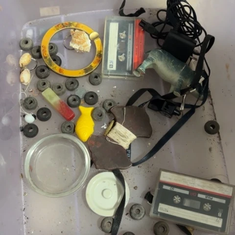 香榧木天**星Rygfhhvhhcghvhvvv