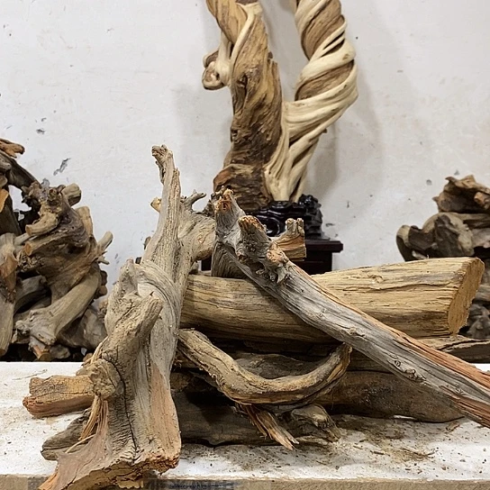 黄***O柏木我们都是好孩子呀