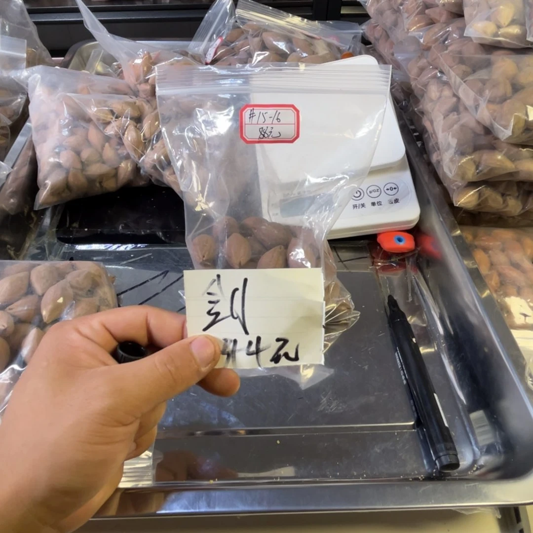 吊坠龙脊菩提剑*